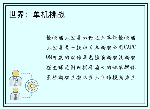 世界：单机挑战